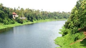 Chalakudy River